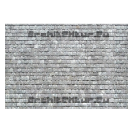 Roof Slate N°01