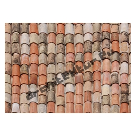 Roof Tiles N°06 Natural