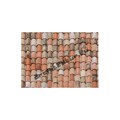 Roof Tiles N°06 Natural