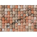 Roof Tiles N°06 Natural