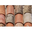 Roof Tiles N°06 Natural