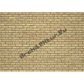 Brick wall N°01