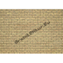 Mur de briques N°01
