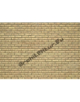 Brick wall N°01