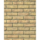 Brick wall N°01