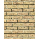 Mur de briques N°01