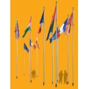 Flags