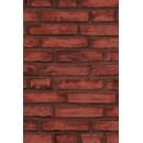 Brick wall N°03 red