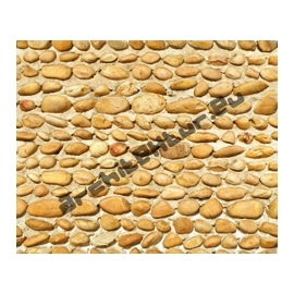 Wall shingle