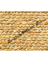 Wall shingle