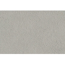 Roughcast Wall N°03 Grey