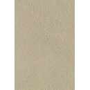 Roughcast Wall N°04