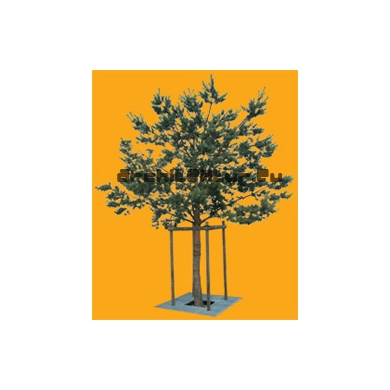Tree N°09 Pinetree