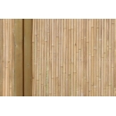 Bamboo panels