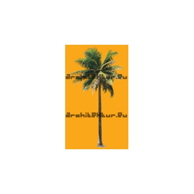 Palm Tree N°03