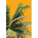 Palm Tree N°03