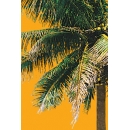Palm Tree N°03