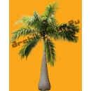 Palm Tree N°04