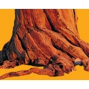 Stump of tree N°01