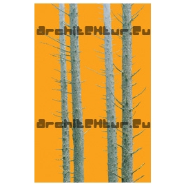 Trunks N°01 pine trees