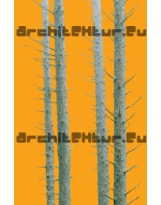 Trunks N°01 pine trees