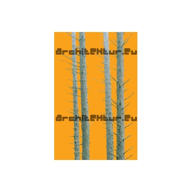 Trunks N°01 pine trees