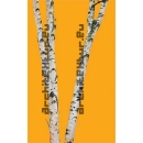 Trunks N°03 birch trees