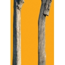 Lampadaire N°30 poteaux bois