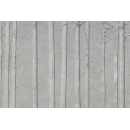 Concrete wall N°29 bamboo