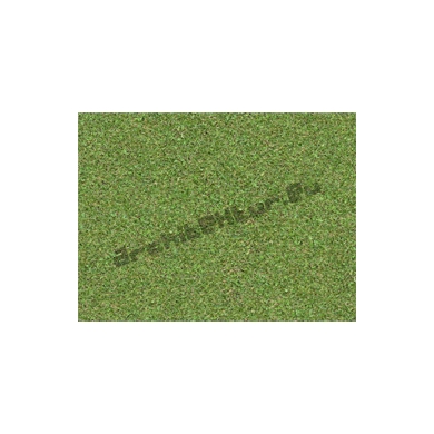 Grass N°03