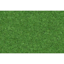 Grass N°04