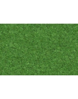 Grass N°04