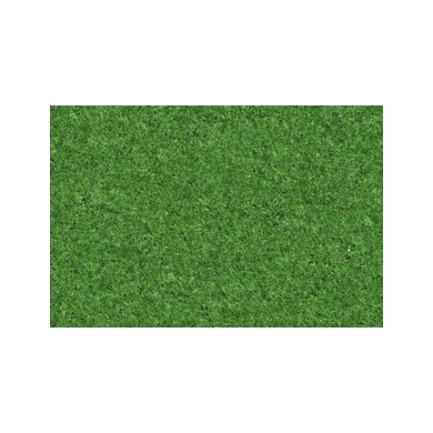 Grass N°04