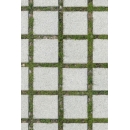 Paving stones N°12 with grass