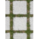 Paving stones N°12 with grass