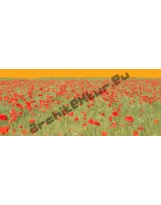 Red Poppies Field N°01