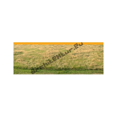 Background N°02 Meadow