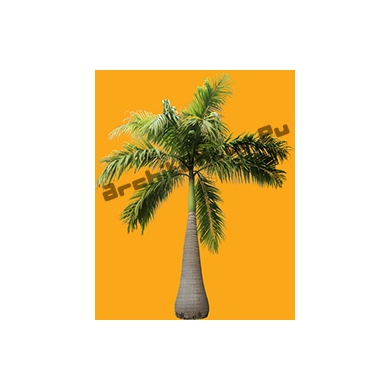 Small Palm Tree N°04