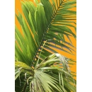 Small Palm Tree N°04