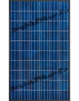 Solar cell N°08