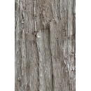 Wood boarding N°21 birch bark
