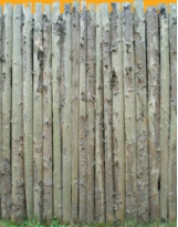 Wood Enclosure N°01