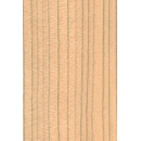 Wood Slat N°09 Tulipier