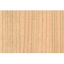 Wood Slat N°09 Tulipier