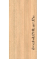 Wood Slat N°09 Tulipier