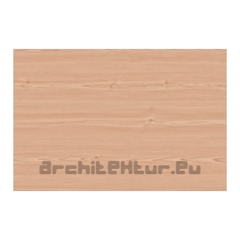 Wood Slat N°12 beech tree