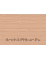 Wood Slat N°12 beech tree