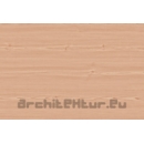 Wood Slat N°12 beech tree