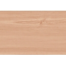 Wood Slat N°12 beech tree