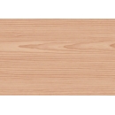 Wood Slat N°12 beech tree